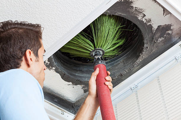 Best Affordable Air Duct Cleaning  in Fife Heights, WA